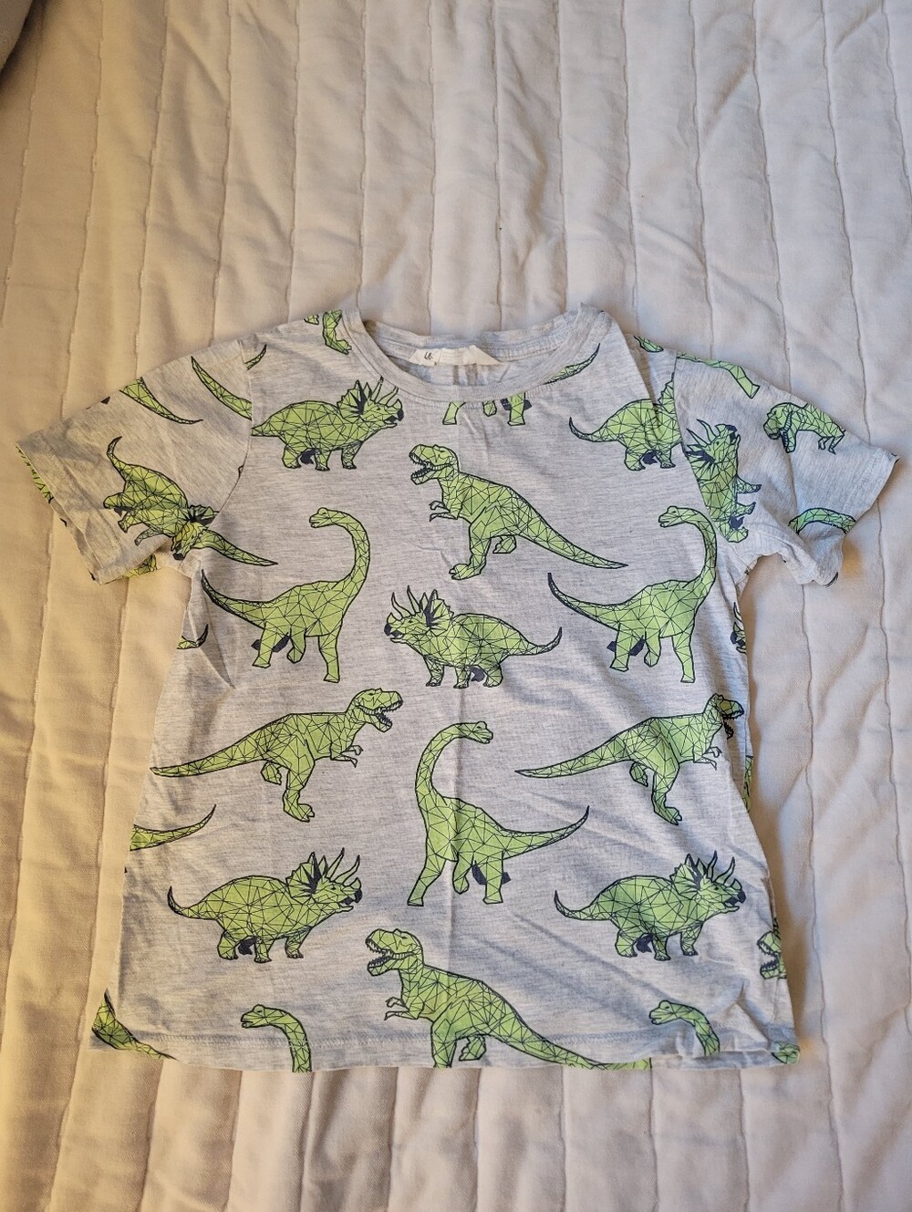 H&M Gray Kids T-Shirt with Lime Green Dinosaur Print